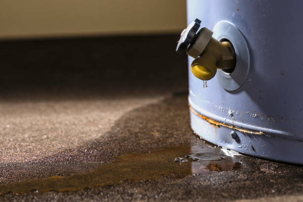 Best Water damage restoration process  in Montgomery, IN