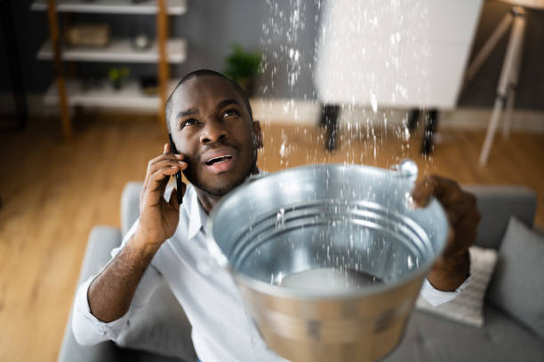 Best Flood restoration services  in Montgomery, IN