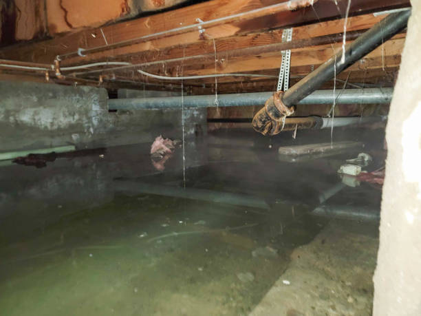 Best Local water damage restoration  in Montgomery, IN