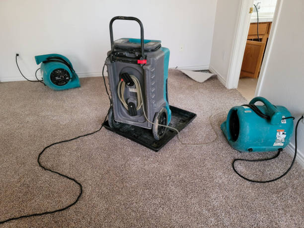 Best Water damage restoration near me  in Montgomery, IN