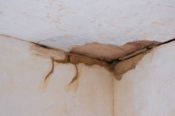 Best Fire Damage Restoration  in Montgomery, IN