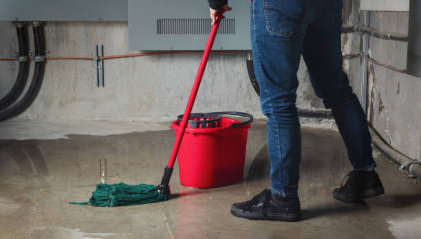 Best Water damage restoration insurance claims  in Montgomery, IN