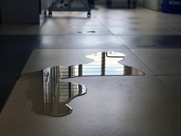 Best Water damage contractors near me  in Montgomery, IN
