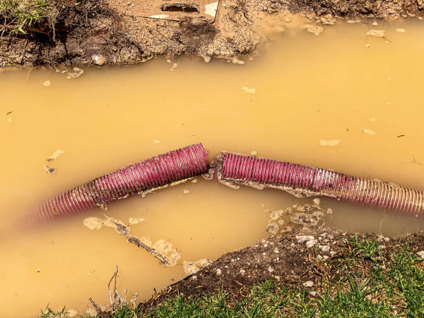 Best Flood damage cleanup  in Montgomery, IN