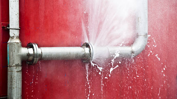 Best Flooded house restoration  in Montgomery, IN