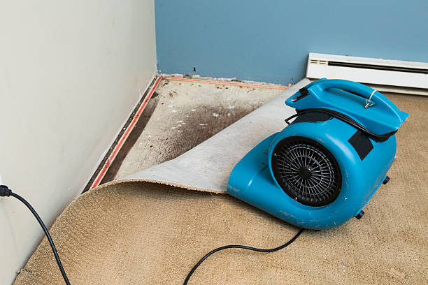 Best Water damage cleanup near me  in Montgomery, IN